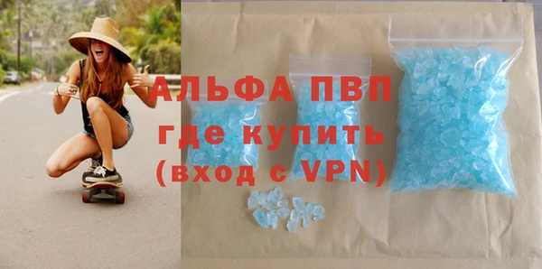 стаф Магас