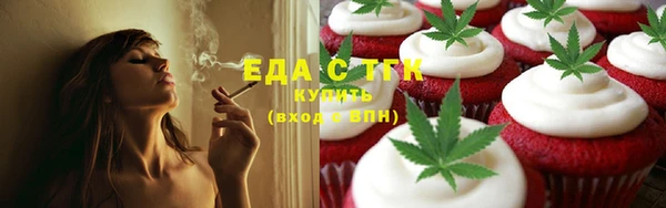 стаф Магас