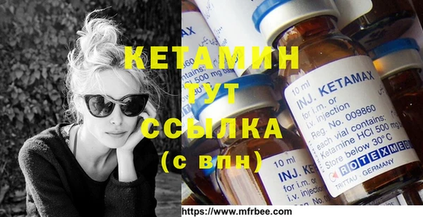 стаф Магас