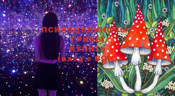 стаф Магас