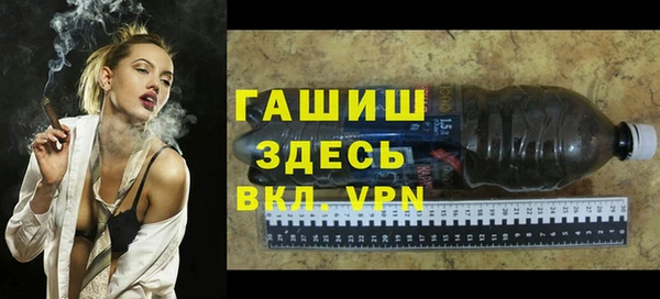 стаф Магас