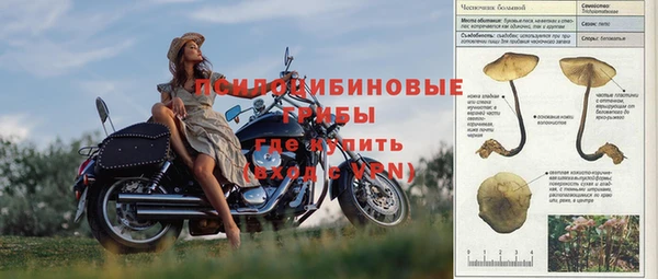 ешки Липки