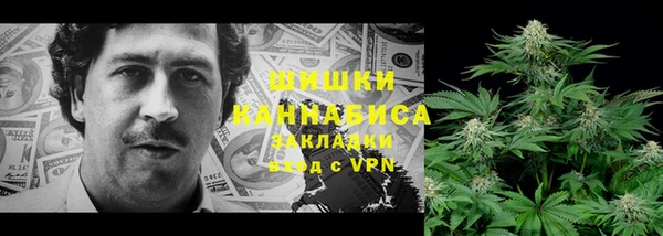 стаф Магас