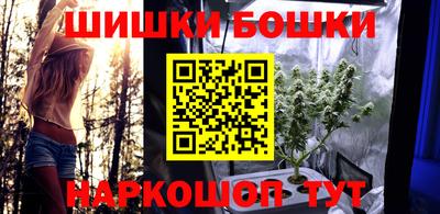 прущие крисы Камышлов