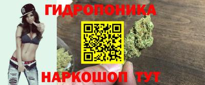 прущие крисы Камышлов