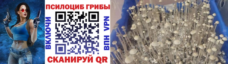 Псилоцибиновые грибы прущие грибы  МЕГА вход  Янаул 