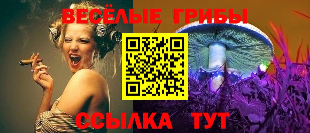 Галлюциногенные грибы MAGIC MUSHROOMS  Вход с VPN  Янаул  Псилоцибиновые грибы ЛСД 
