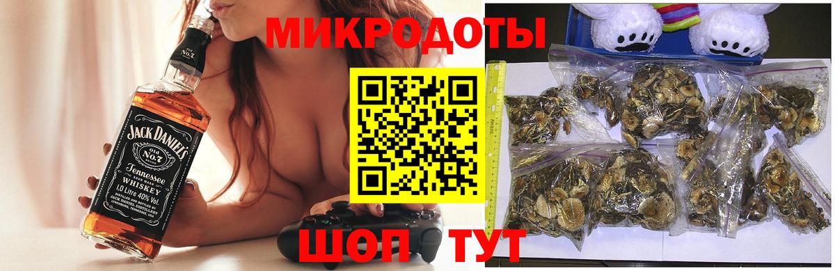 Галлюциногенные грибы Psilocybine cubensis Янаул